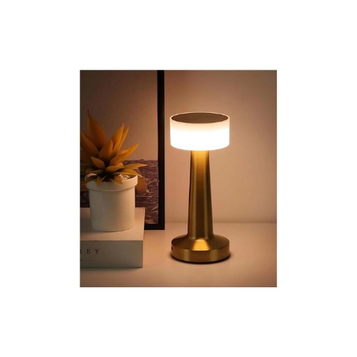 Table Lamp 2000 mAh Battery Lamps for Bedroom, Wireless Touch Control Three Colour Light Modes, Metal LED Battery Table Lamp for Dining Room, Study, Bedroom, Bedside Table